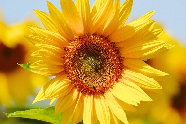 Recomendaciones para potenciar una Mente Positiva